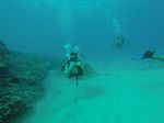 Hawaii Scuba divng 26