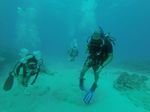 Hawaii Scuba divng 29