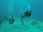 Hawaii Scuba divng 30