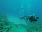 Hawaii Scuba divng 31