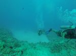 Hawaii Scuba divng 32