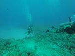 Hawaii Scuba divng 33