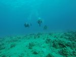 Hawaii Scuba divng 34