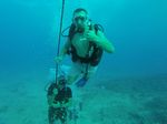 Hawaii Scuba divng 39