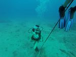 Hawaii Scuba divng 40