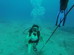 Hawaii Scuba divng 41