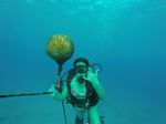 Hawaii Scuba divng 44