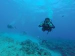 Hawaii Scuba divng 04