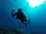 Hawaii Scuba divng 05