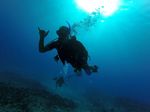 Hawaii Scuba divng 06