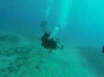 Hawaii Scuba divng 07