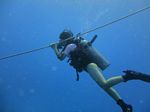 Hawaii Scuba divng 12