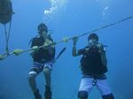 Hawaii Scuba divng 13