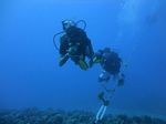 Hawaii Scuba divng 17