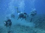 Hawaii Scuba divng 21