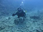 Hawaii Scuba divng 23