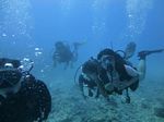 Hawaii Scuba divng 24