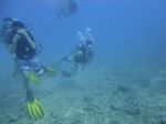 Hawaii Scuba divng 25