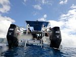 Hawaii Scuba divng 26