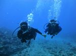 Hawaii Scuba divng 31