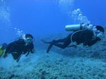 Hawaii Scuba divng 32