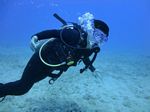 Hawaii Scuba divng 35