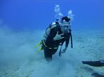 Hawaii Scuba divng 36