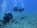 Hawaii Scuba divng 42