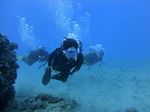 Hawaii Scuba divng 43