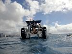 Hawaii Scuba divng 09