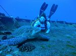 Hawaii Scuba divng 21