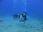 Hawaii Scuba divng 33