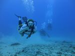 Hawaii Scuba divng 34