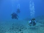 Hawaii Scuba divng 35