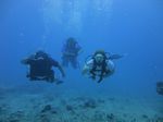 Hawaii Scuba divng 36