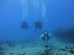 Hawaii Scuba divng 38