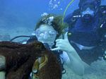 Hawaii Scuba divng 44