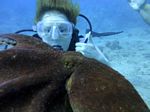 Hawaii Scuba divng 46