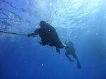 Hawaii Scuba divng 04