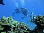 Hawaii Scuba divng 59