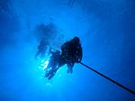 Hawaii Scuba divng 05