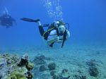 Hawaii Scuba divng 61