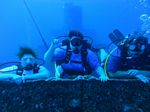 Hawaii Scuba divng 07