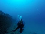 Hawaii Scuba divng 29