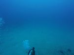 Hawaii Scuba divng 39