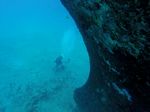 Hawaii Scuba divng 42