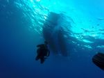 Hawaii Scuba divng 46