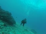 Hawaii Scuba divng 48