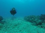 Hawaii Scuba divng 53