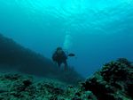 Hawaii Scuba divng 54